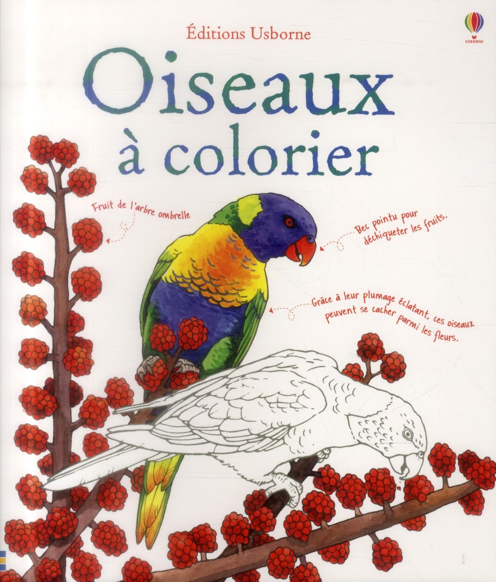 Oiseaux a colorier