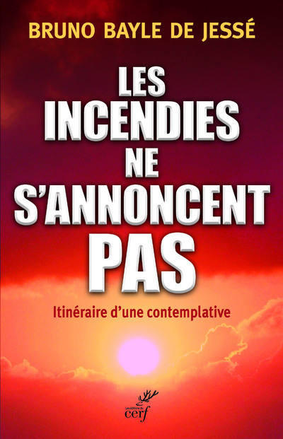 LES INCENDIES NE S'ANNONCENT PAS - Bruno Bayle de Jesse - CERF