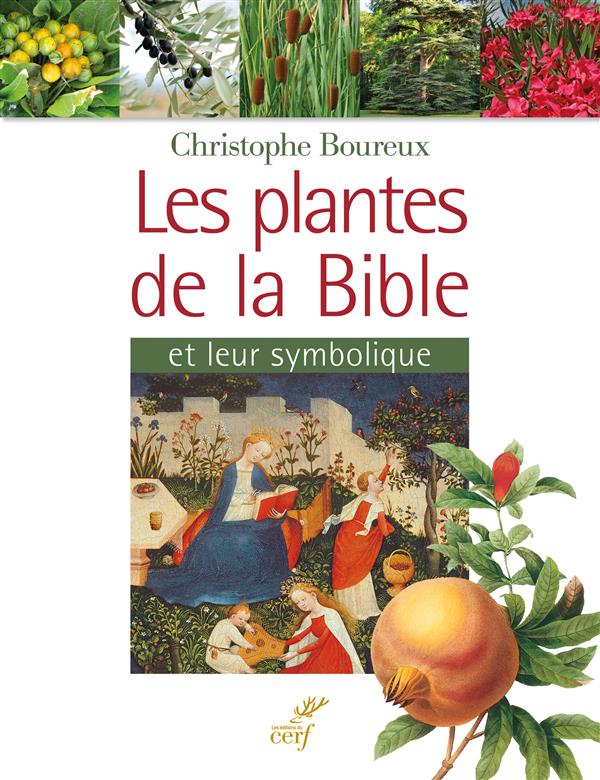 Les plantes de la bible