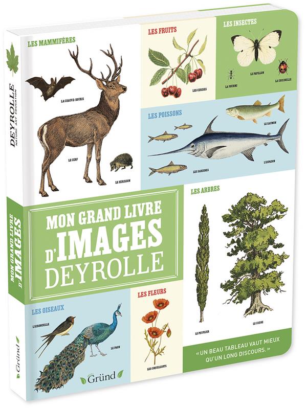 Mon grand livre d'images deyrolle