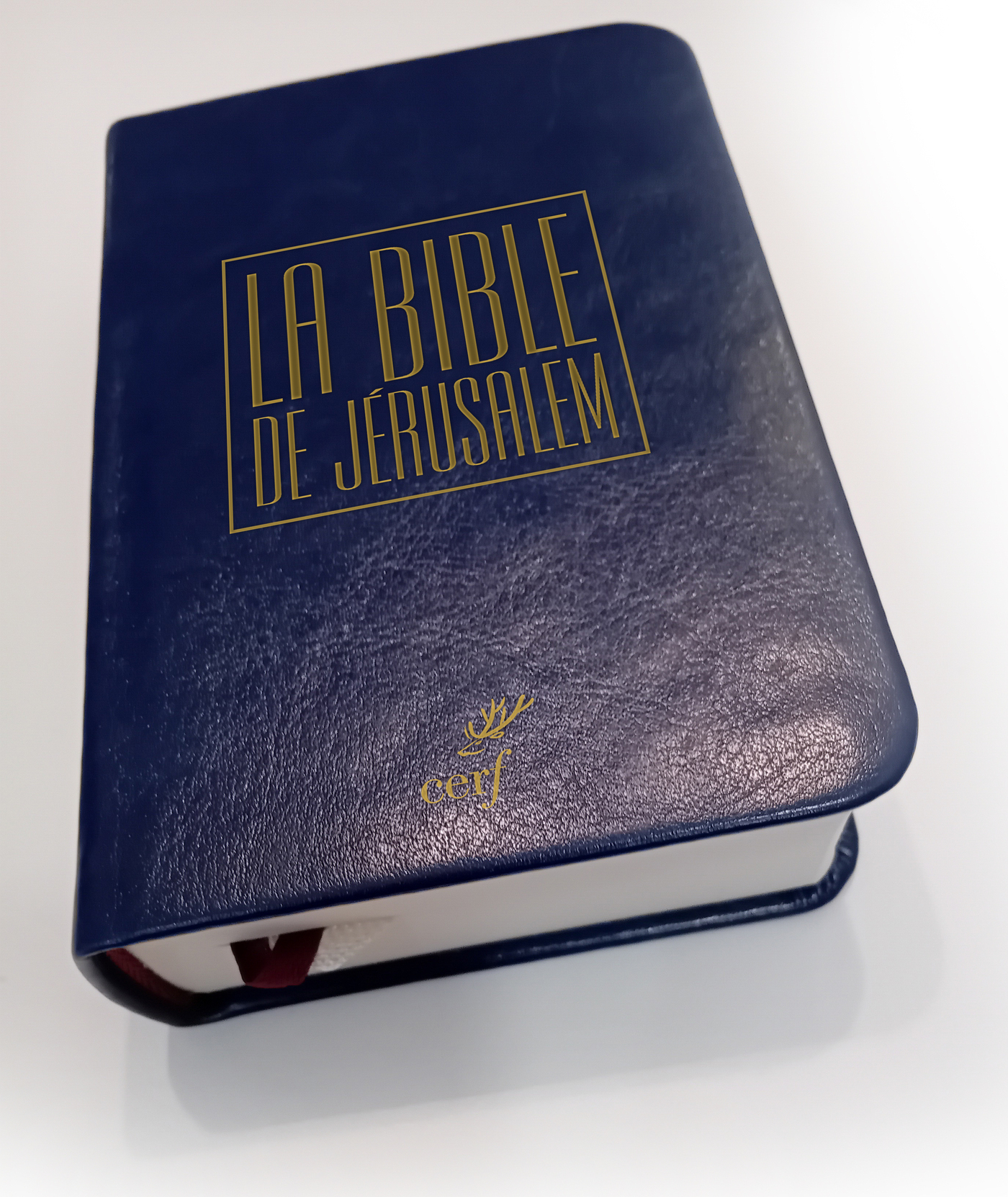 Bible de jérusalem voyage bleue