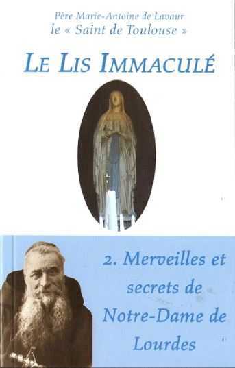 Le lis immaculé t2 - merveilles et secrets de notre-dame de lourdes