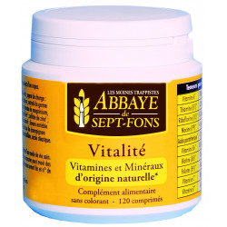 Complement alimentaire vitalite, boite de 120 comprimes